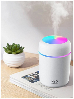 Увлажнитель воздуха Humidifier H2O/портативный/светодиодный white